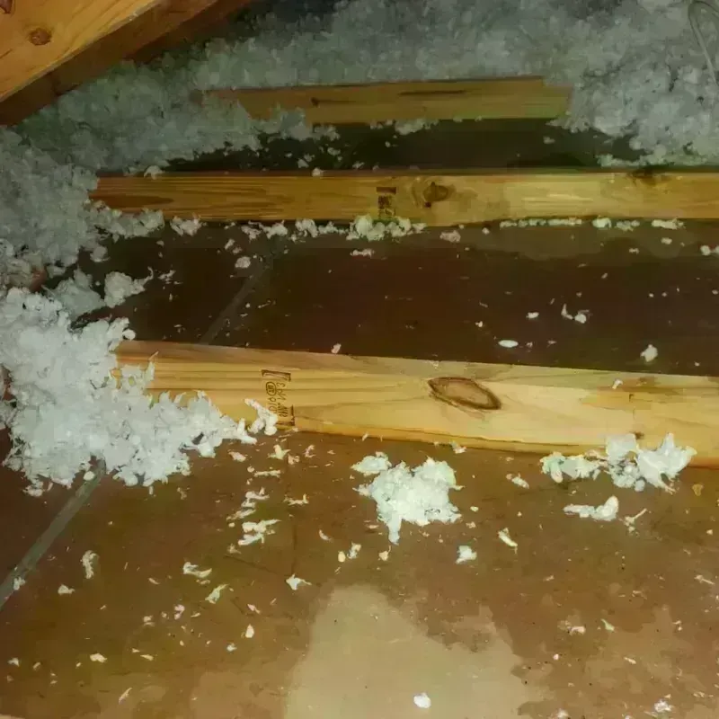 Attic Water Damage in Redan, GA