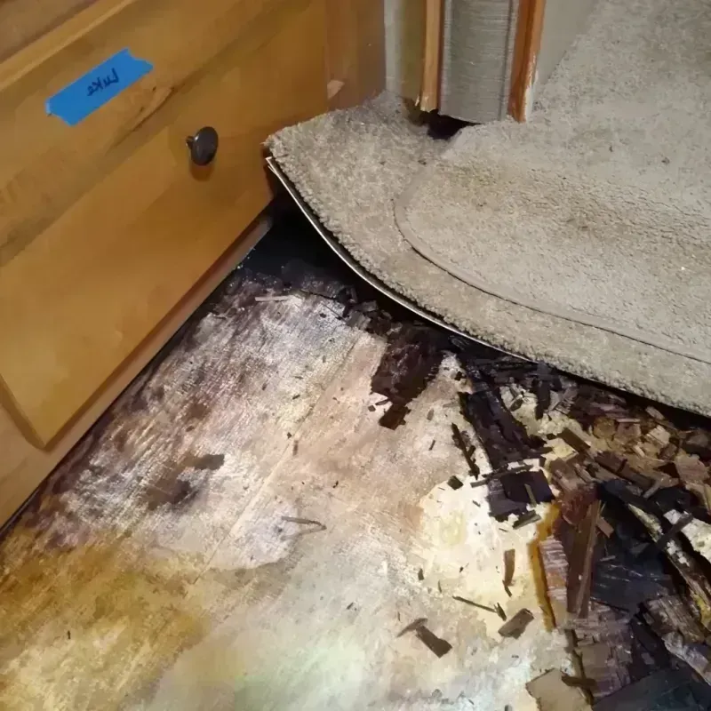 Best Wood Floor Water Damage Service in Redan, GA